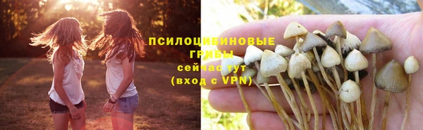 стафф Нефтекумск
