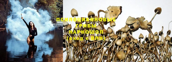 винт Нефтегорск