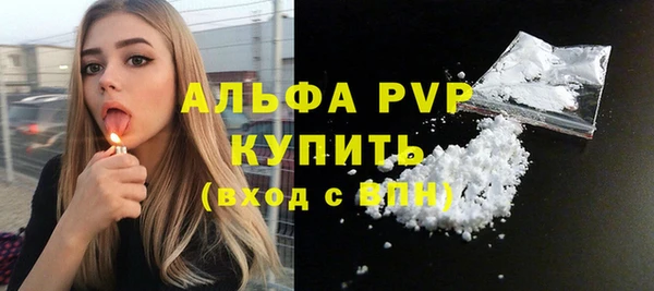 стафф Нефтекумск