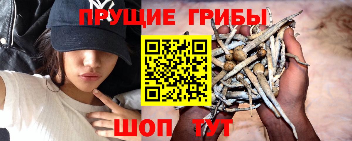 наркотики  Вход с VPN  Калуга  Галлюциногенные грибы Magic Shrooms  Псилоцибиновые грибы GOLDEN TEACHER 